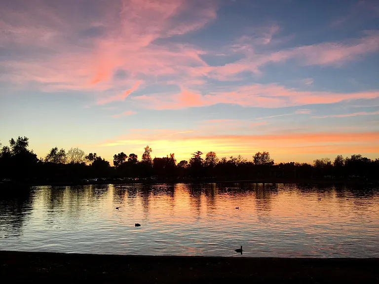 Beautiful Sunsets, And Sunrise 
Lake Balboa Park Driving or Walking Distance Near My Home
