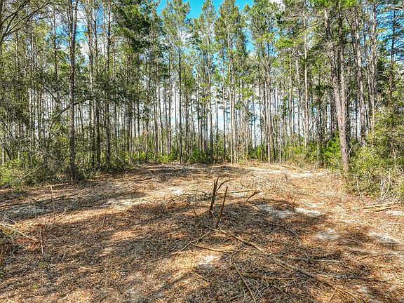 3rd image of 1503 NE Oak Pond Ln