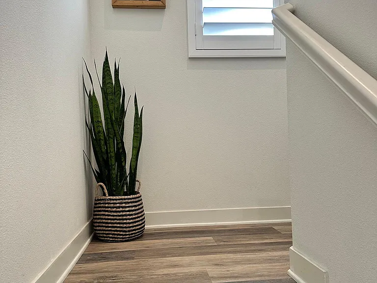 707 Magnolia Ave — Photo 21