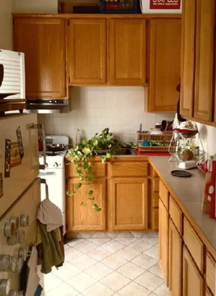 1 bed, $1,500 — Photo 1