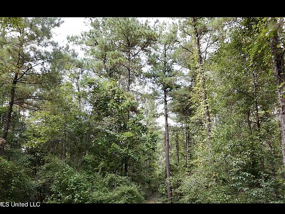 5th image of Merritt Rd