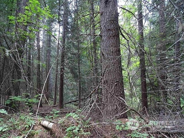 2nd image of 0 Deer Creek Road