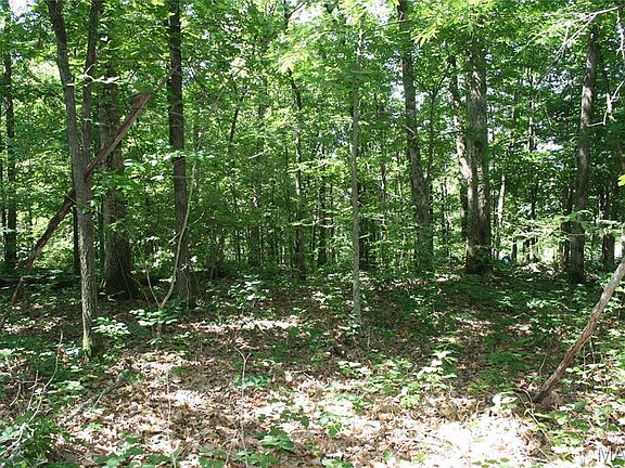3rd image of 0 Lake View Dr