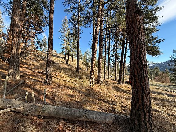 4th image of N Adams St