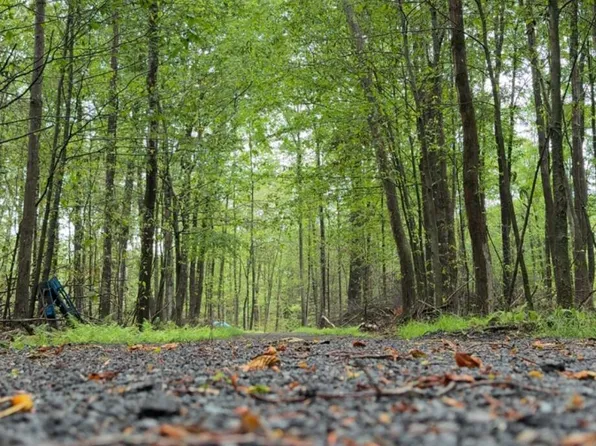 Bentler Rd, Gouldsboro, PA 18424