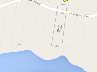 0 Pine Island Cove Rd TRACT 10, Grapeland, TX