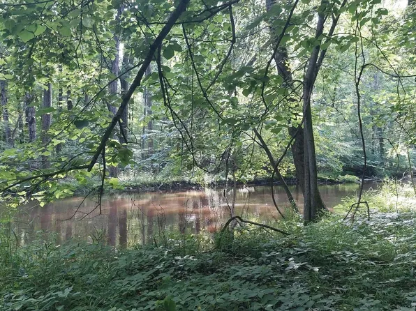 W Mosherville Rd, Litchfield, MI 49252