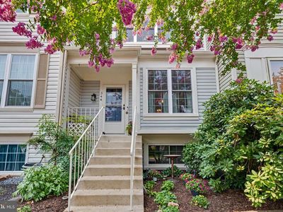 344 Coltsridge Ter NE, Leesburg, VA, 20176