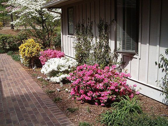 Front Walk