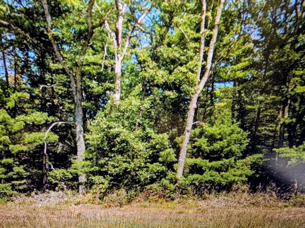 130 E Us Highway 10, Baldwin, MI 49304