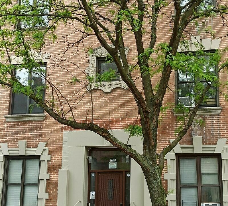 1st image of 238 W 112th St APT 2E