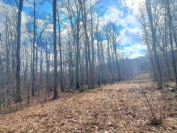 5th image of Glade Run Rd