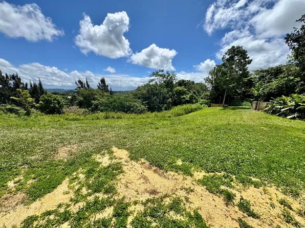 Camino Vitoriano, Lares, PR 00669