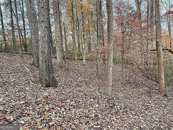 5th image of 667B Avery Rd