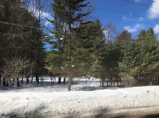 203 Elm Lake Rd, Speculator, NY 12164