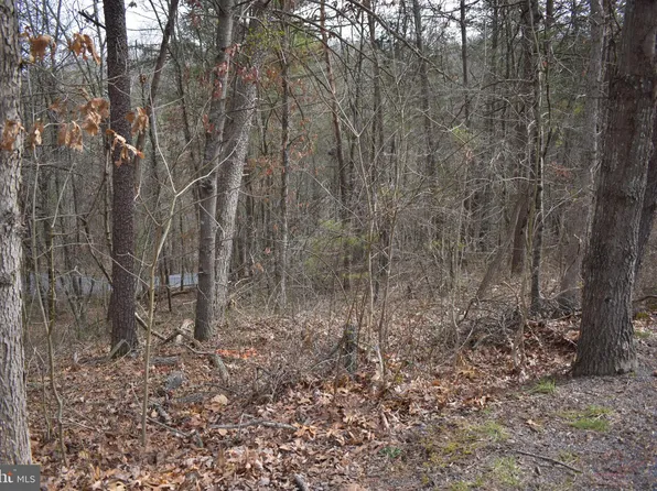 Cottonwood Dr, Mount Jackson, VA 22842