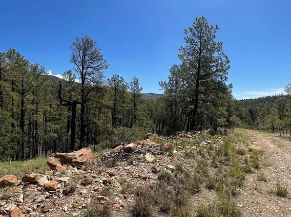29 Beauregard Dr, Timberon, NM 88350
