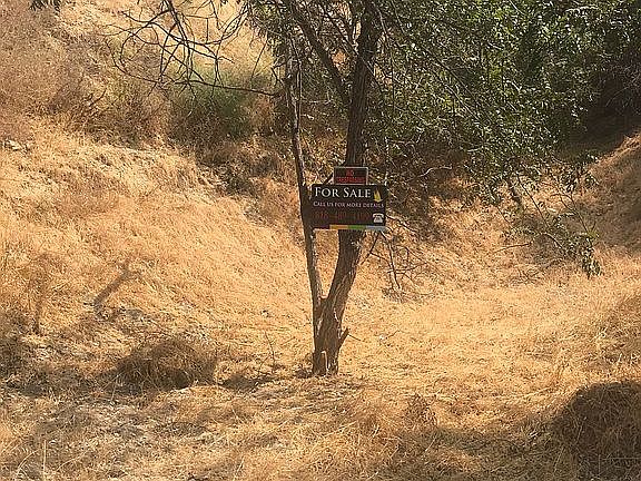 Vacant Land 