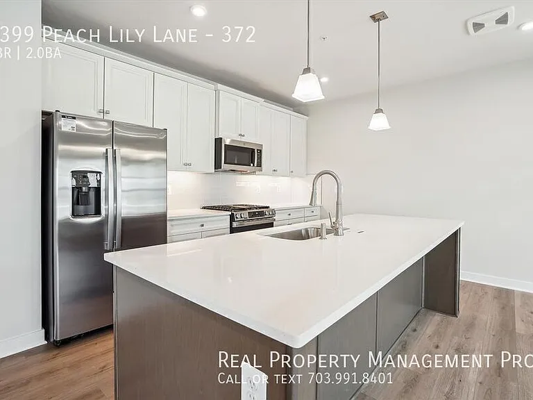 4399 Peach Lily Ln #372 — Photo 7