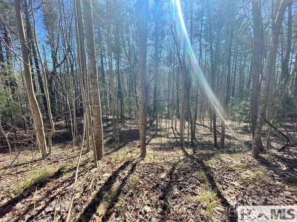 1 Bear Log Rd, Cashiers, NC 28717