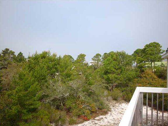 2nd image of 1454 Alligator Dr
