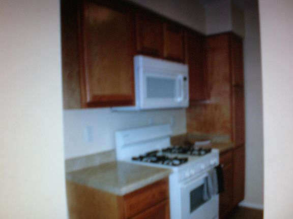3rd image of 3017 Larry Wood Pl