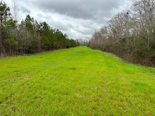 43443 Jackson Brumfield Rd, Franklinton, LA 70438
