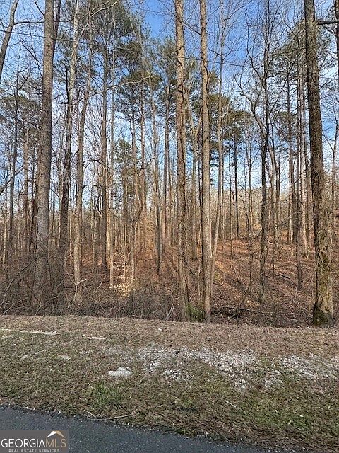 1st image of 0 Cascade Palmetto Hwy