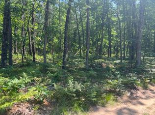 PARCEL Reid Rd #A, Custer, MI 49405