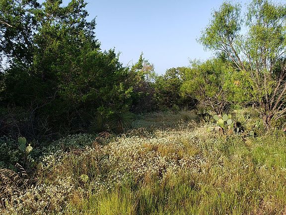 2nd image of Undeveloped Land