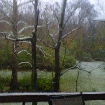 2nd image of 8380 Springvalley Dr