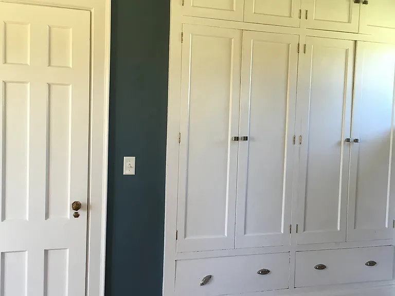 Living room storage and closet