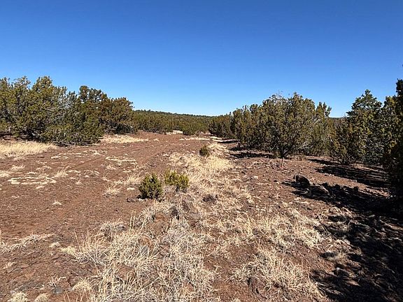 2nd image of 19 County Road 8230