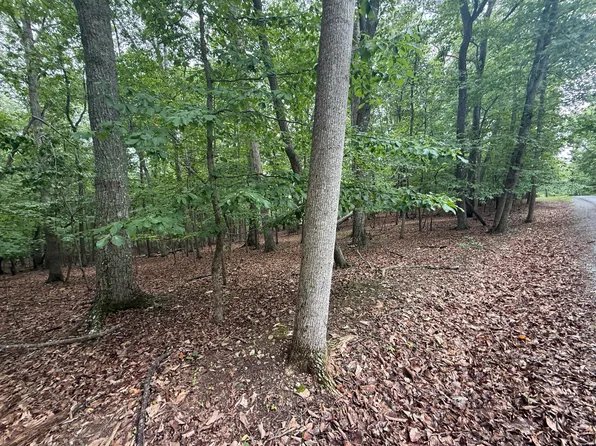 17 Saunders Point Rd, Huddleston, VA 24104