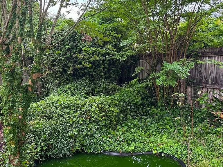 139 Pamela Dr — Photo 19