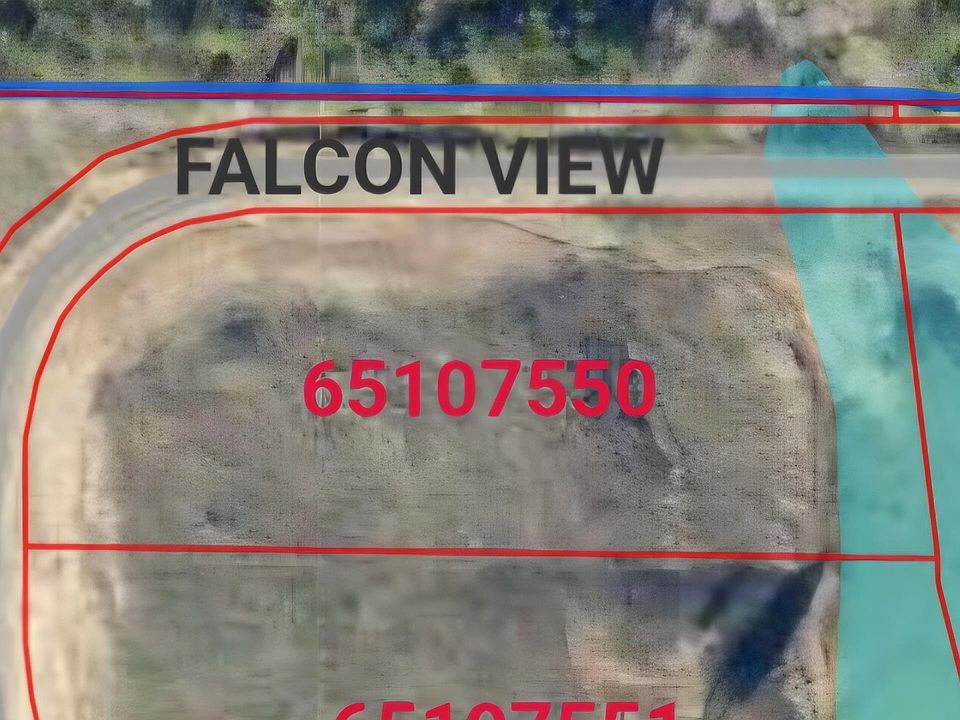 1st image of Falcon Vw