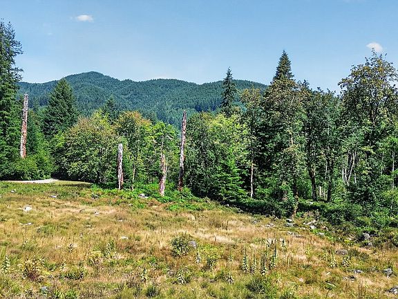 5th image of 0 Dog Creek Rd