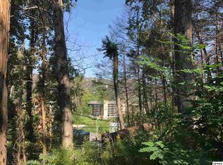 247 Circle Dr, Gatlinburg, TN 37738