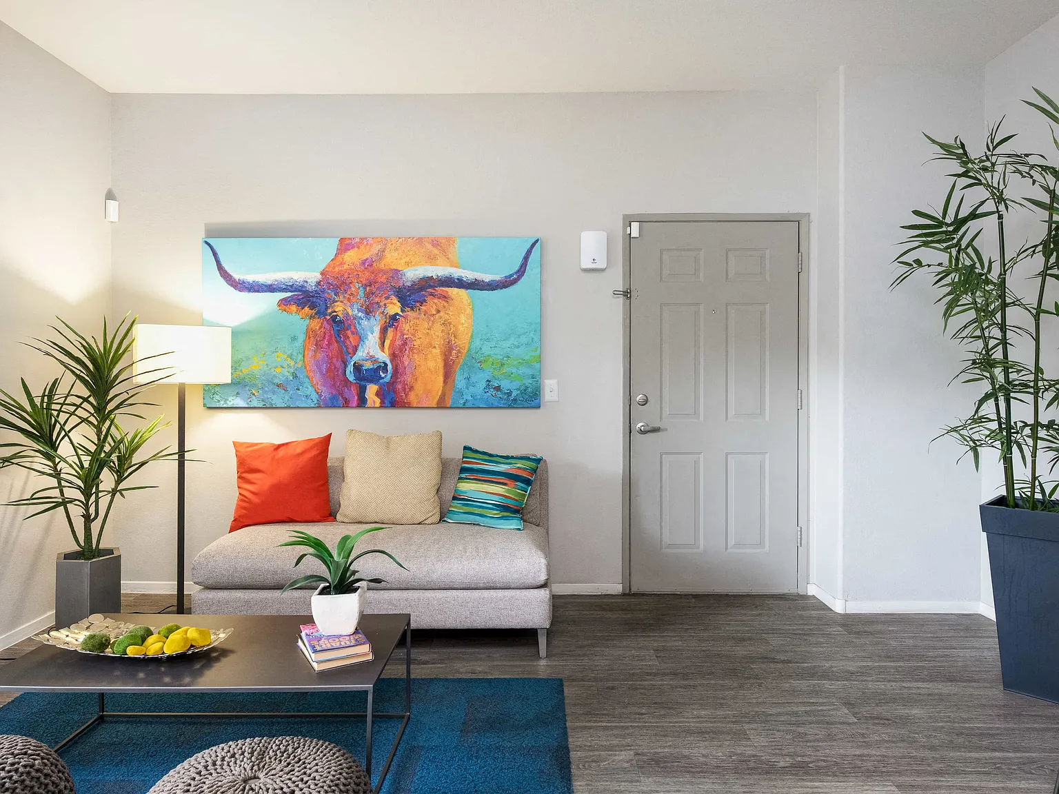 Ventana Canyon Apartments — Photo 1