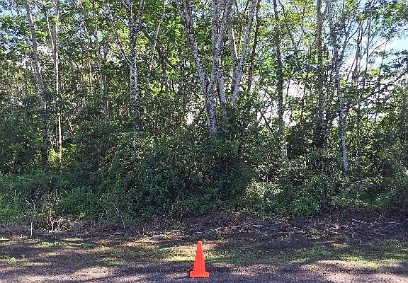 5th image of 26th Ave