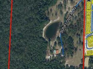 329 Sunflower Ln, Freeport, FL 32439