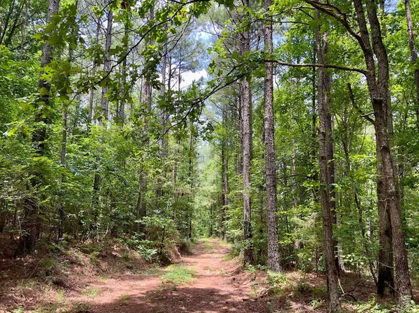 60 Trout Creek Rd, Watson, OK 74963