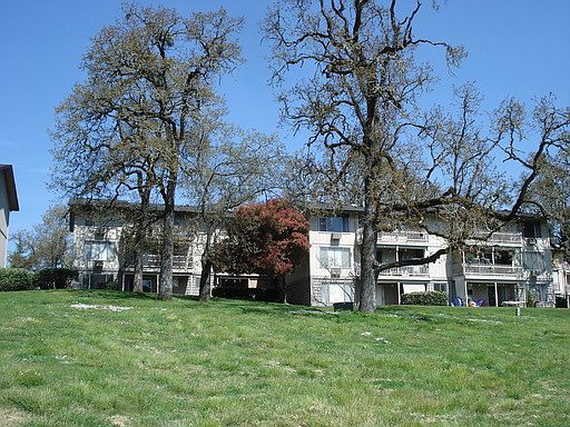 2nd image of 125 Village Dr APT 13