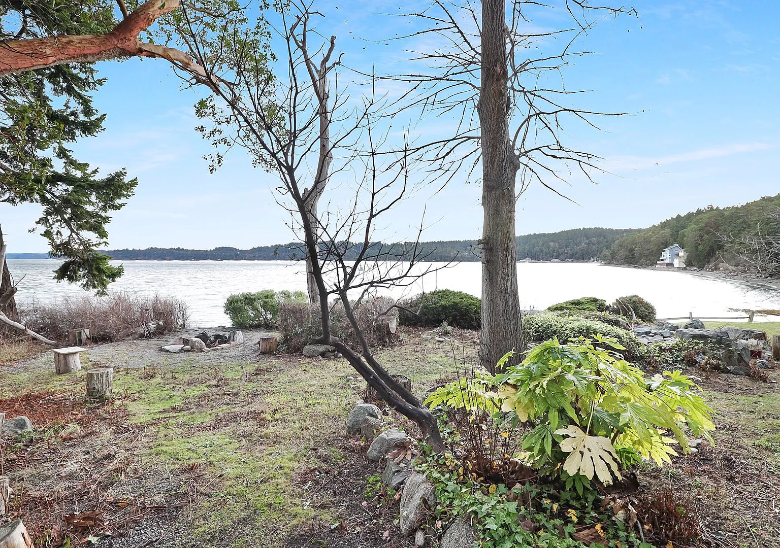 Coupeville - Beachfront Walkout - Amazing Views - 2 Bed 1.5 Bath — Photo 3