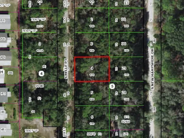 10577 S Belle Point, Homosassa, FL 34446