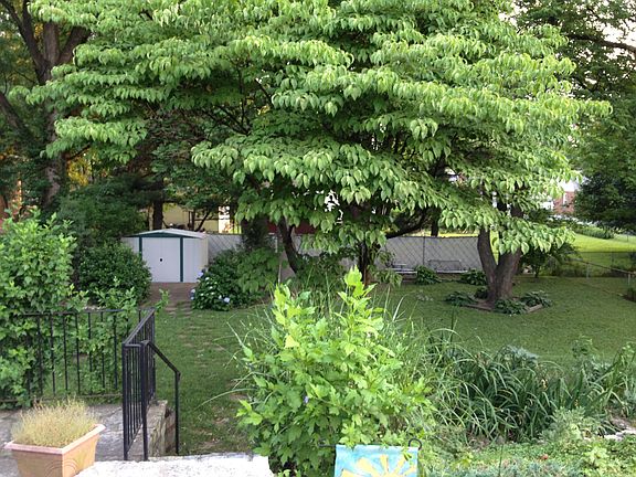 Large Backyard
