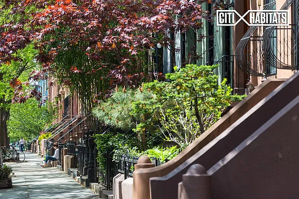 Rented by Citi Habitats | media 41