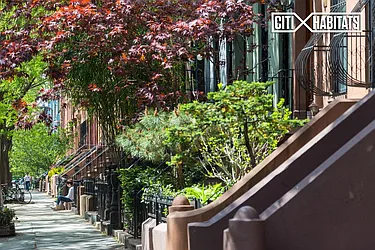 Rented by Citi Habitats