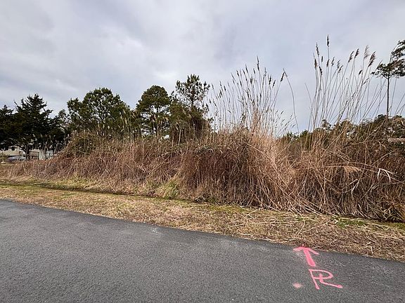 4th image of LOT 288 N Hibiscus Dr