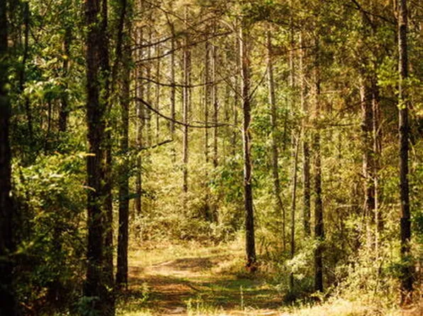 0 A Busby Rd, Ellisville, MS 39437